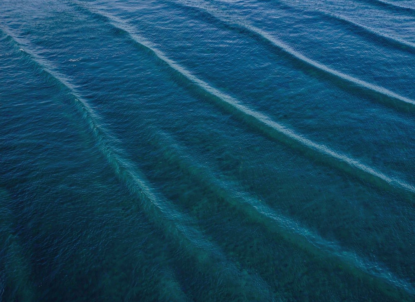 海洋